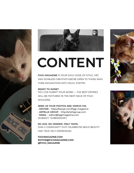 FIGGI MAGAZINE - LOVELY PETS JULY (Vol 1675), page 3
