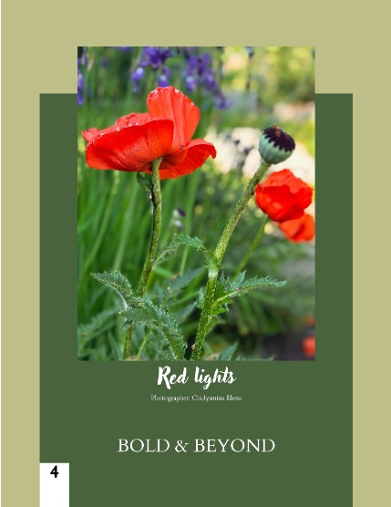 Bold & Beyond Nature (Issue 400 July 2025), page 4