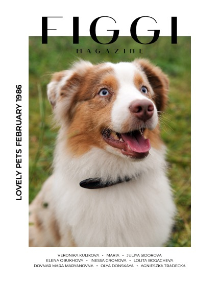 FIGGI MAGAZINE - LOVELY PETS FEBRUARY (Vol 1986), page 1