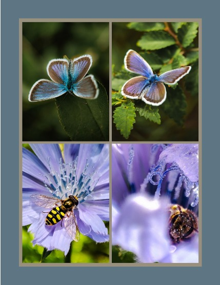 Bold & Beyond Nature (Issue 444 August 2025), page 3