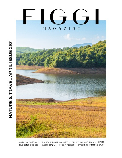 FIGGI MAGAZINE - NATURE & TRAVEL APRIL (Vol 2101), page 1