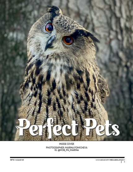 Perfect Pets Magazine - February 2025: The Pet Portrait Issue, page 2