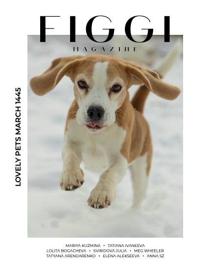FIGGI MAGAZINE - LOVELY PETS MARCH (Vol 1445), page 1