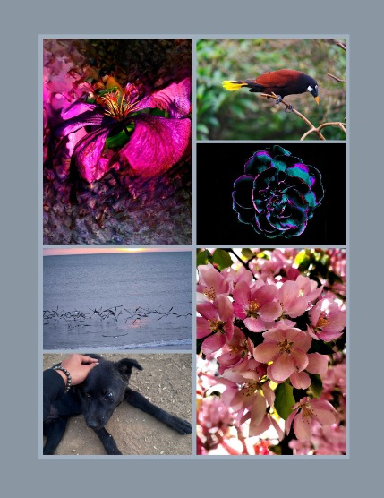 Bold & Beyond Nature (Issue 200 April 2025), page 3