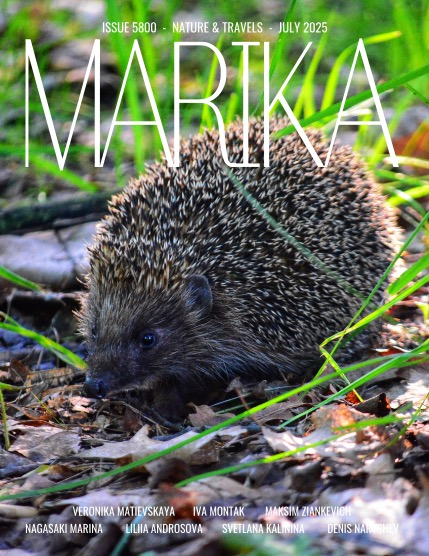 MARIKA MAGAZINE NATURE & TRAVELS (ISSUE 5800 - JULY), page 1