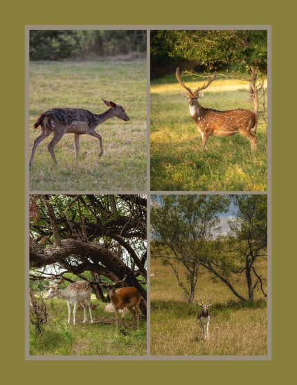 Bold & Beyond Nature (Issue 558 September 2025), page 3