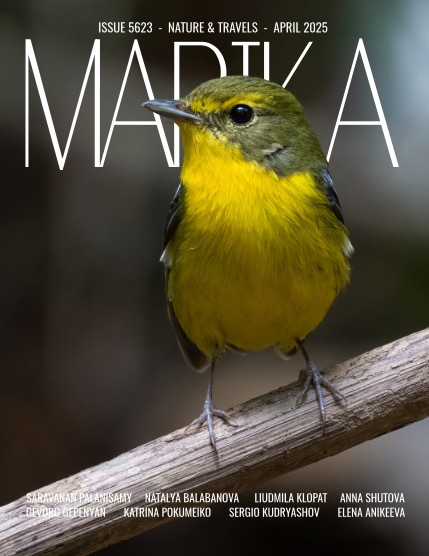 MARIKA MAGAZINE NATURE & TRAVELS (ISSUE 5623 - APRIL), page 1