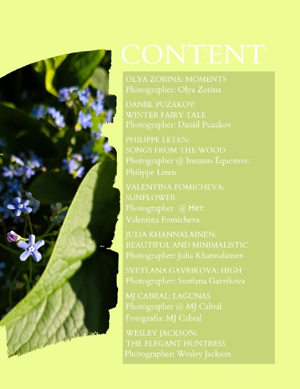 Bold & Beyond Nature (Issue 373 July 2025) , page 2