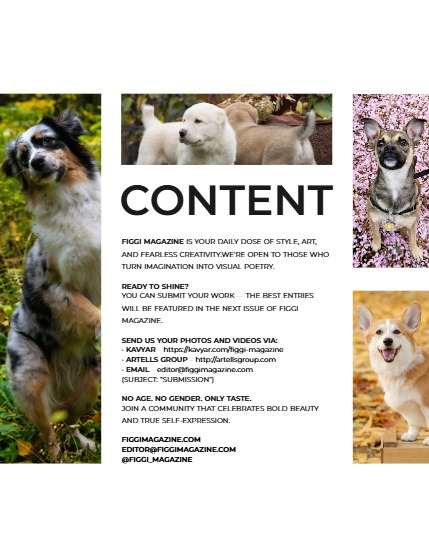 FIGGI MAGAZINE - LOVELY PETS NOVEMBER (Vol 1876), page 3