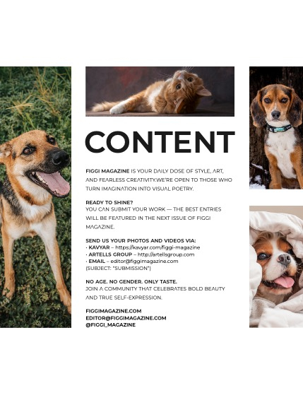 FIGGI MAGAZINE - LOVELY PETS JANUARY (Vol 1957), page 3