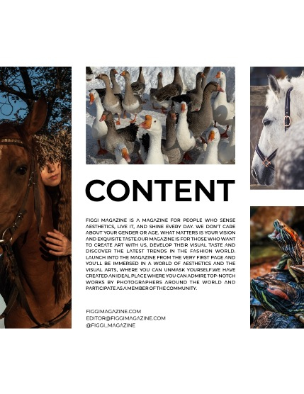FIGGI MAGAZINE - LOVELY PETS APRIL (Vol 1489), page 3