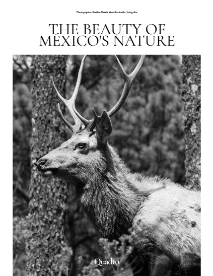 QUADRO MAGAZINE - NATURE & TRAVEL MAY (Vol 1071), page 4