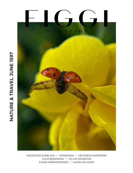 FIGGI MAGAZINE - NATURE & TRAVEL JUNE (Vol 1597), page 1