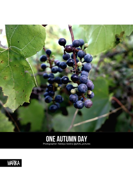 MARIKA MAGAZINE NATURE & TRAVELS (ISSUE 5953 - OCTOBER), page 4