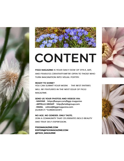 FIGGI MAGAZINE - NATURE & TRAVEL NOVEMBER (Vol 1858), page 3