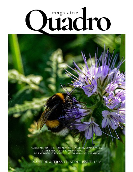 QUADRO MAGAZINE - NATURE & TRAVELS APRIL (Vol 1536), page 1