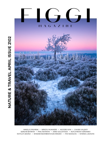 FIGGI MAGAZINE - NATURE & TRAVEL APRIL (Vol 2102), page 1