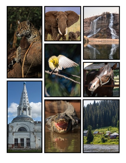 ARTEGO MAGAZINE - NATURE & TRAVELS SEPTEMBER ISSUE 1485, page 3