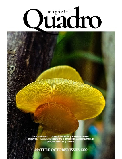 QUADRO MAGAZINE - NATURE OCTOBER (Vol 1309), page 1