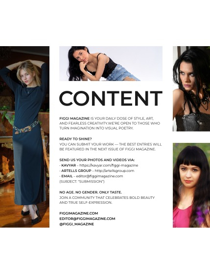 FIGGI MAGAZINE - PORTRAIT NOVEMBER (Vol 1894), page 3