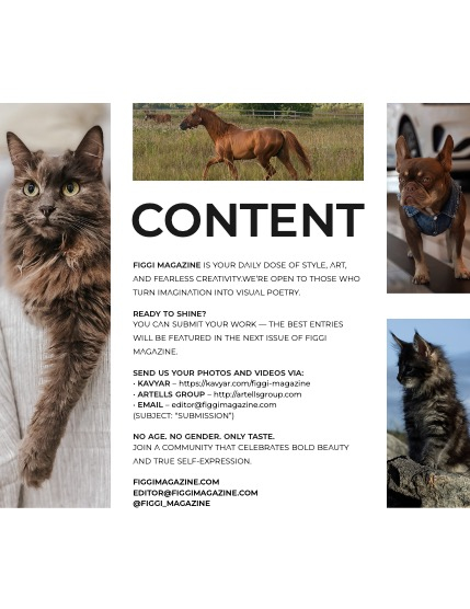 FIGGI MAGAZINE - LOVELY PETS MAY (Vol 1547), page 3