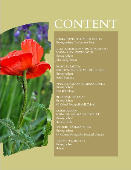 Bold & Beyond Nature (Issue 400 July 2025), page 2