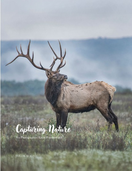 Bold & Beyond Nature (Issue 266 May 2025), page 4