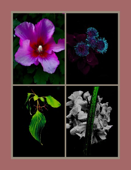 Bold & Beyond Nature (Issue 576 October 2025), page 3