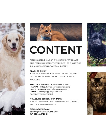 FIGGI MAGAZINE - LOVELY PETS JANUARY (Vol 1958), page 3