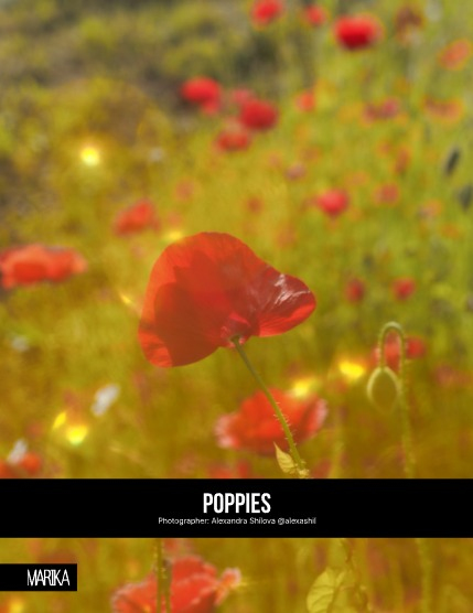 MARIKA MAGAZINE NATURE & TRAVELS (ISSUE 6016 - NOVEMBER), page 4