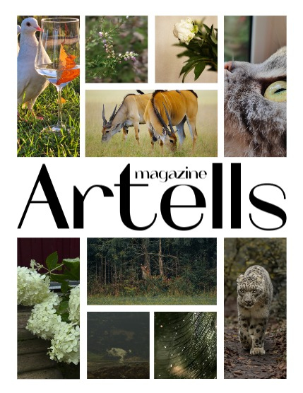 ARTELLS MAGAZINE - NATURE & TRAVELS NOVEMBER (Vol 3672), page 2