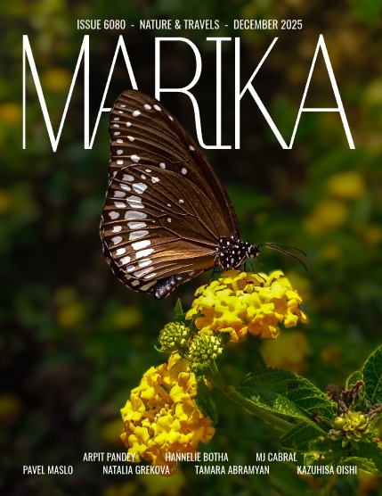 MARIKA MAGAZINE NATURE & TRAVELS (ISSUE 6080 - DECEMBER), page 1