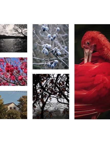 FIGGI MAGAZINE - NATURE & TRAVEL JANUARY (Vol 1960), page 2