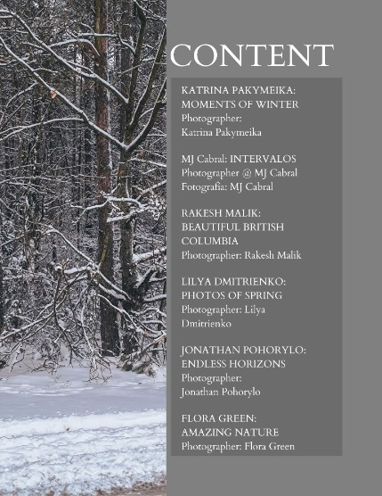 Bold & Beyond Nature (Issue 742 February 2026), page 2