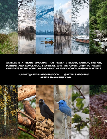 ARTELLS MAGAZINE - NATURE & TRAVELS MAY (Vol 3188), page 3