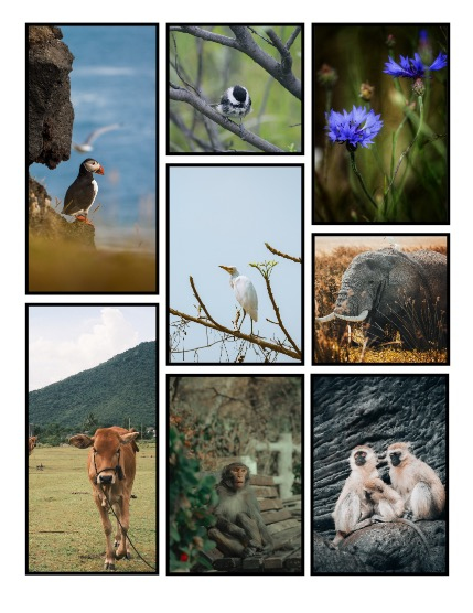 ARTEGO MAGAZINE - NATURE & TRAVEL AUGUST ISSUE 978, page 3