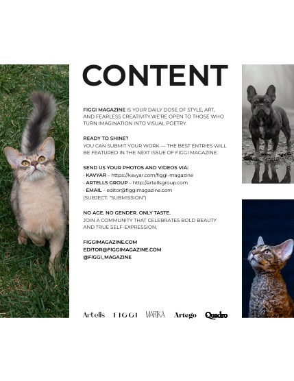 FIGGI MAGAZINE - LOVELY PETS MARCH (Vol 2040), page 3