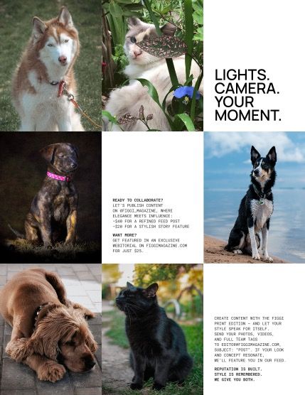 Фиджи, журнал. Милые питомцы, сентябрь, выпуск 2270 (FIGGI MAGAZINE - LOVELY PETS SEPTEMBER (Vol 2270)), page 3