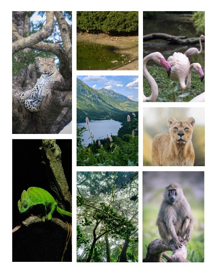 ARTEGO MAGAZINE - NATURE & TRAVELS FEBRUARY ISSUE 688, page 3