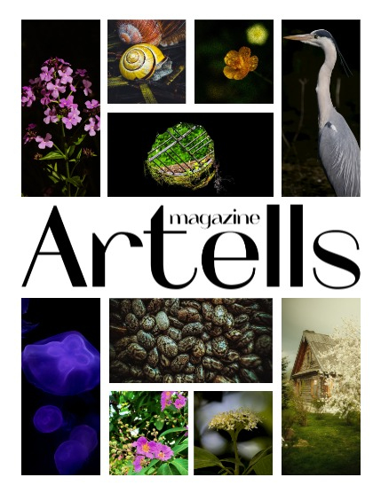 ARTELLS MAGAZINE - NATURE & TRAVELS JULY (Vol 3373), page 2