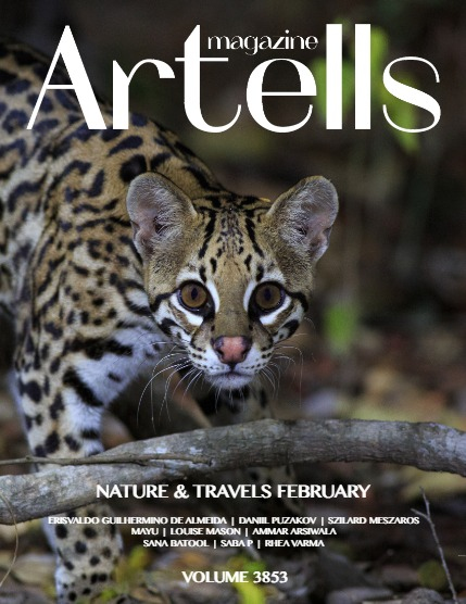 ARTELLS MAGAZINE - NATURE & TRAVELS FEBRUARY (Vol 3853), page 1
