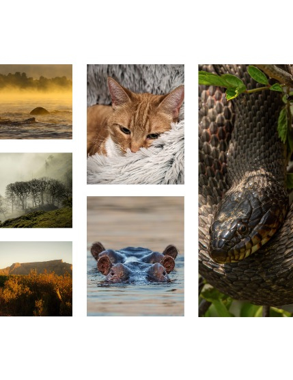 FIGGI MAGAZINE - NATURE & TRAVEL MAY (Vol 2153), page 2