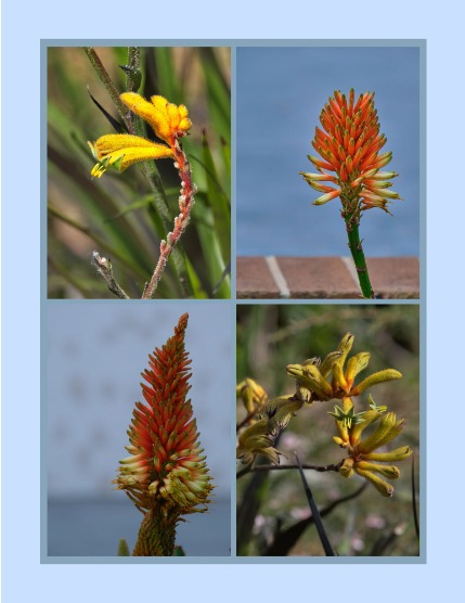 Bold & Beyond Nature (Issue 369 July 2025), page 3