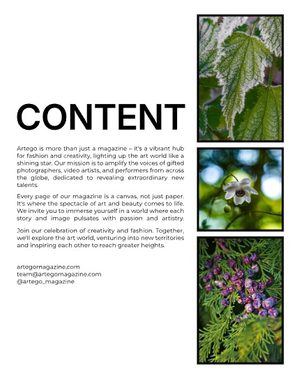 ARTEGO MAGAZINE - NATURE & TRAVELS NOVEMBER ISSUE 1113, page 2