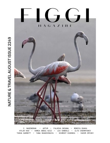 Фиджи, журнал. Природа и путешествия, август, выпуск 2249 (FIGGI MAGAZINE - NATURE & TRAVEL AUGUST (Vol 2249)), page 1