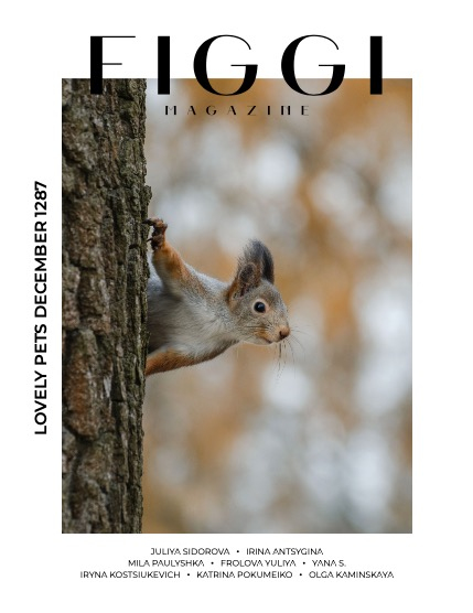 FIGGI MAGAZINE - LOVELY PETS DECEMBER (Vol 1287), page 1