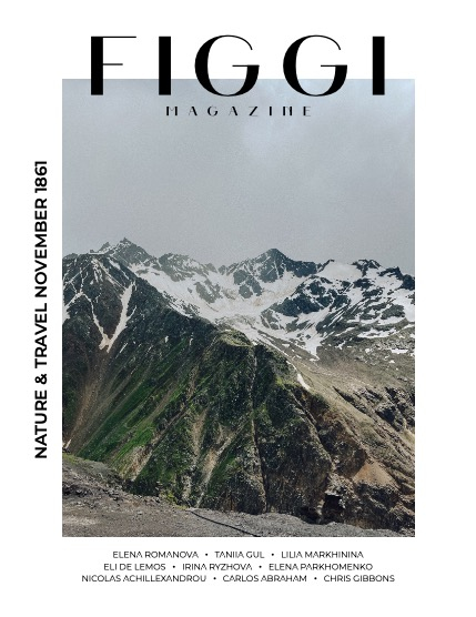 FIGGI MAGAZINE - NATURE & TRAVEL NOVEMBER (Vol 1861), page 1