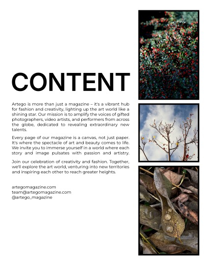ARTEGO MAGAZINE - NATURE & TRAVELS DECEMBER ISSUE 1150, page 2