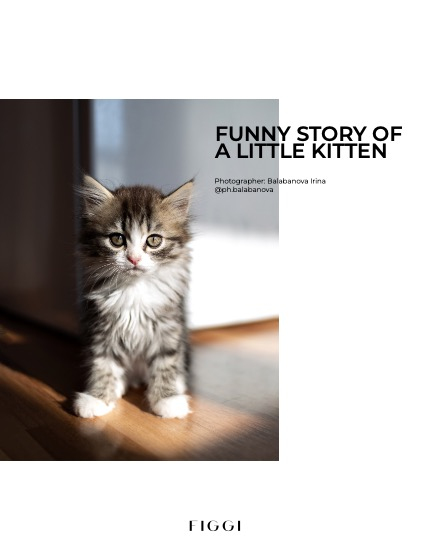 FIGGI MAGAZINE - LOVELY PETS JANUARY (Vol 1337), page 4