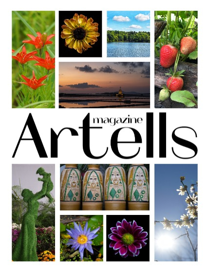 ARTELLS MAGAZINE - NATURE & TRAVELS JANUARY (Vol 3804), page 2